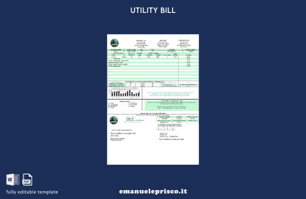 modello di bolletta dei servizi pubblici USA Tennessee Mountain Electric Coopera